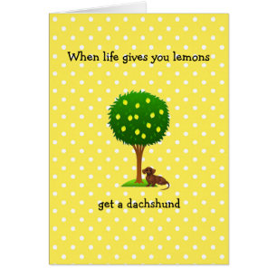 Carte de voeux Dachshund Quand La Vie Vous Donne D