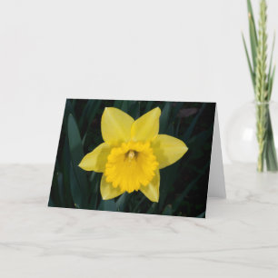 Carte de voeux Daffodil