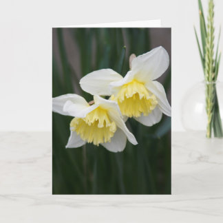 Carte de voeux Daffodils blanc et jaune