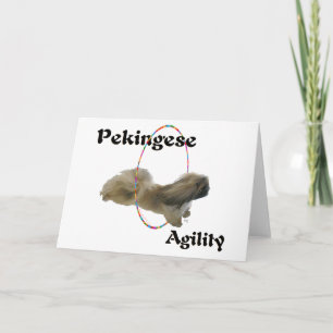 Carte de vœux d'agilité Pékinois