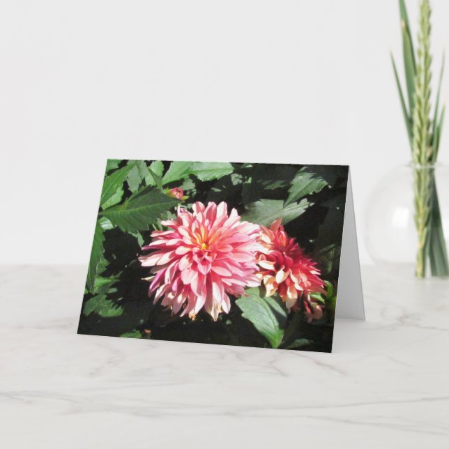 Carte de voeux Dahlia (Devant)