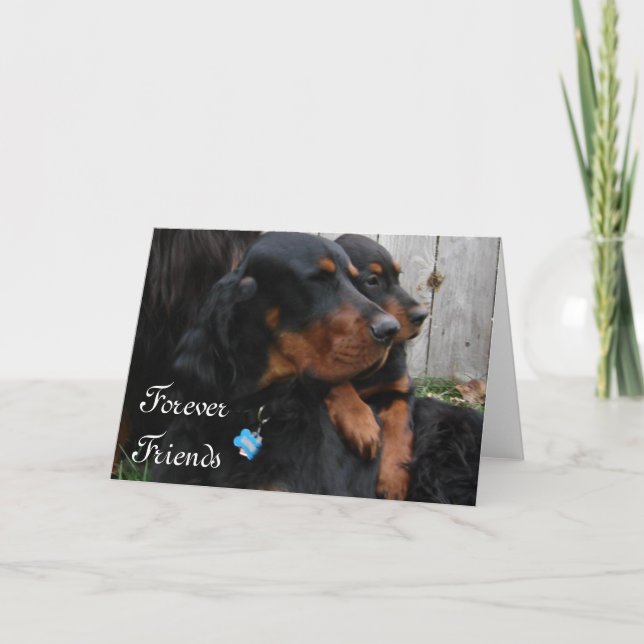 Carte de vœux d'amitié Gordon Setter Pals (Devant)