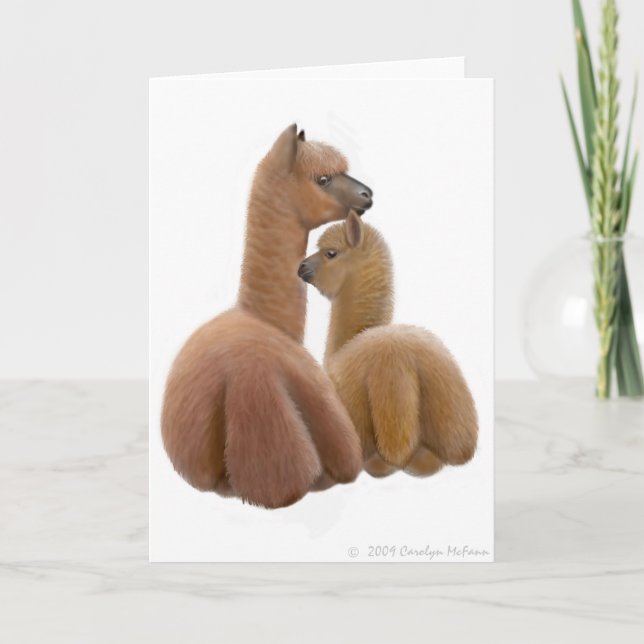 Carte de voeux d'amour d'alpaga (Devant)