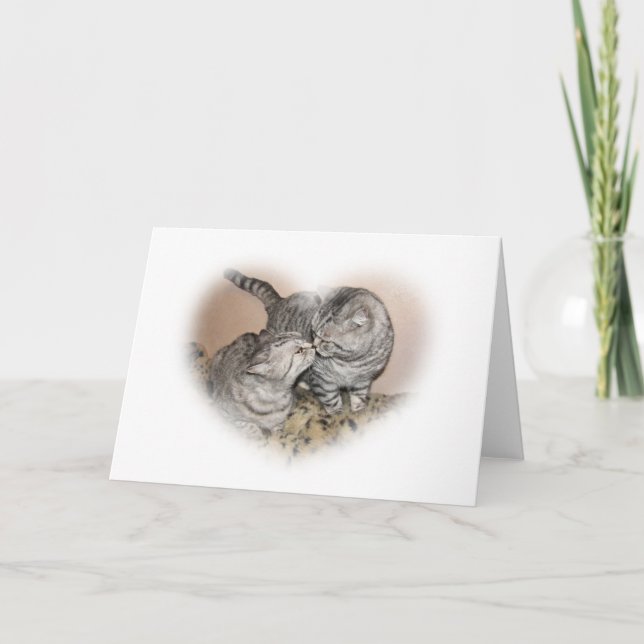 Carte de voeux d'amour de chat (Devant)