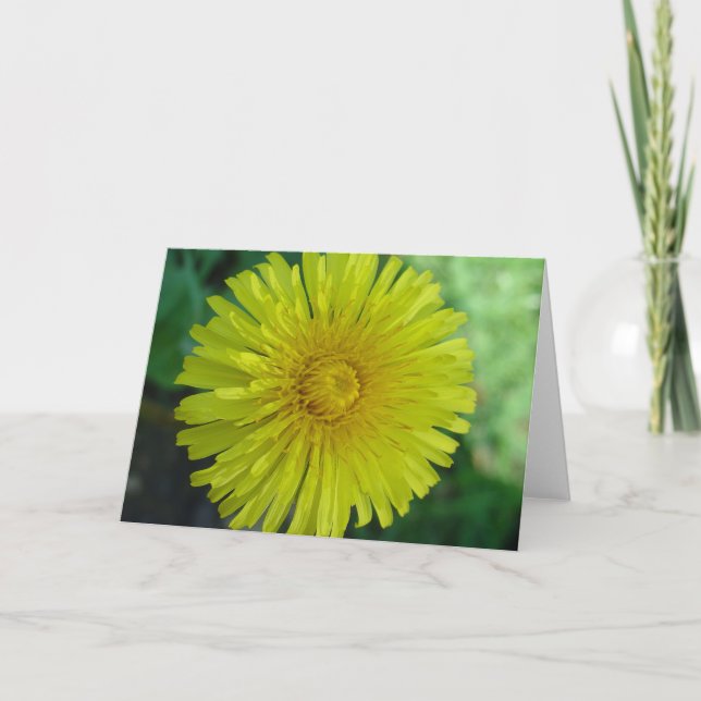 Carte de voeux - Dandelion (Devant)