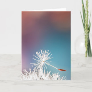 Carte de voeux Dandelion