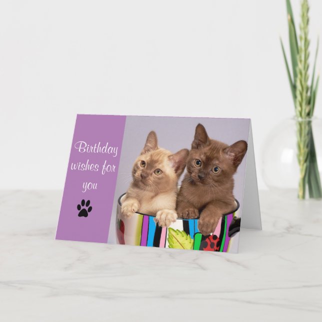 Carte de vœux d'anniversaire avec un chat mignon (Devant)