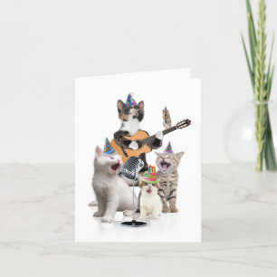 Carte de voeux d'anniversaire - Bandes d'animaux -