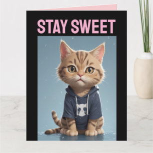 CARTE DE VŒUX D'ANNIVERSAIRE CHAT MIGNON AMI