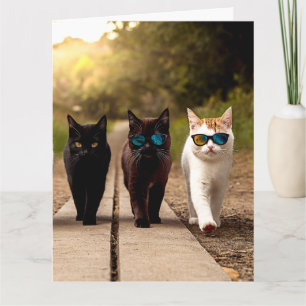 CARTE DE VOEUX D'ANNIVERSAIRE CHAT SYMPA