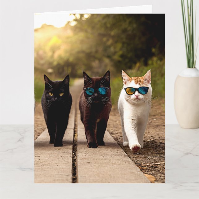 CARTE DE VOEUX D'ANNIVERSAIRE CHAT SYMPA (Devant)