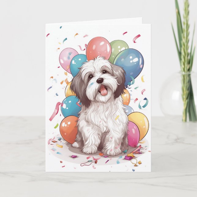 Carte de voeux d'anniversaire de chien Havanais (Devant)