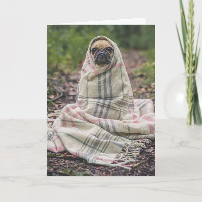 CARTE DE VOEUX D'ANNIVERSAIRE DE CHIEN PUG (Devant)