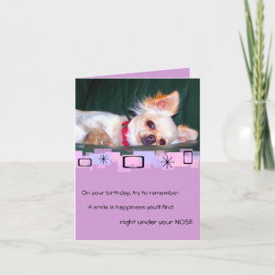 Cartes Chiwawa D Anniversaire Zazzle Fr