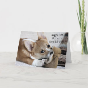 Carte de voeux d'anniversaire de Corgi