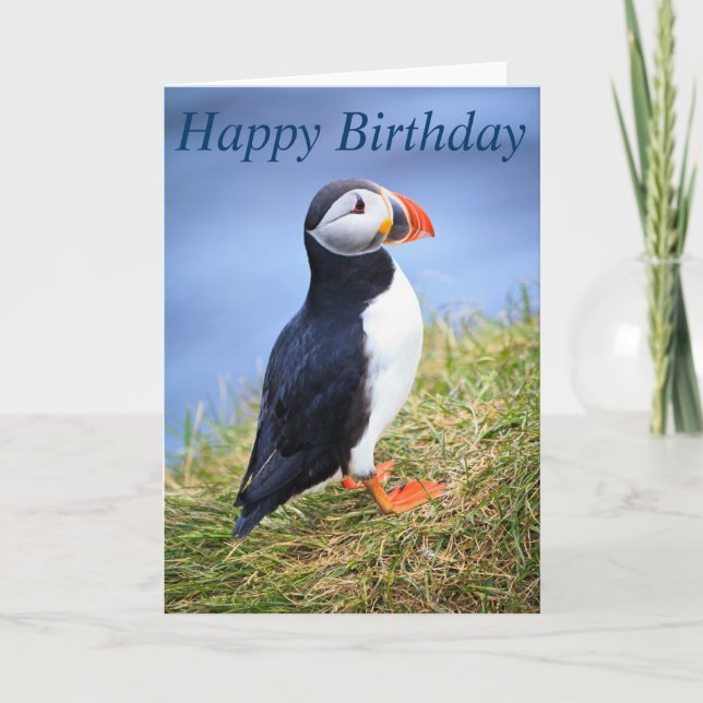 Carte de voeux d'anniversaire de Cute Puffin (Devant)