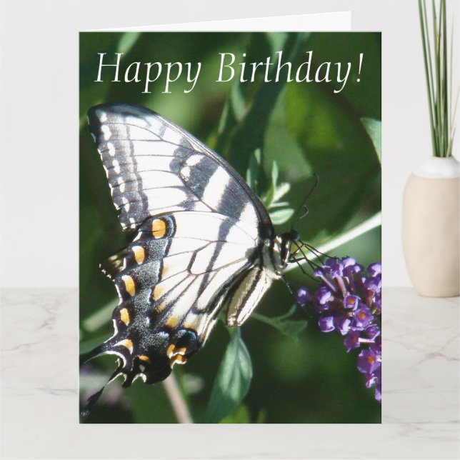 Carte de voeux d'anniversaire de papillon grande (Devant)