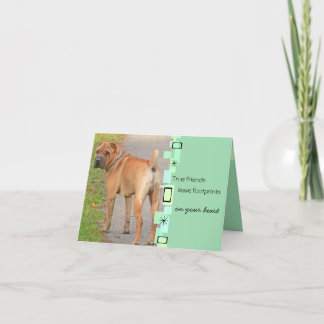 Carte de voeux d'anniversaire de Shar Pei de