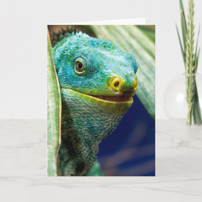 CARTE DE VOEUX D'ANNIVERSAIRE DRÔLE DE PUN IGUANE (Devant)