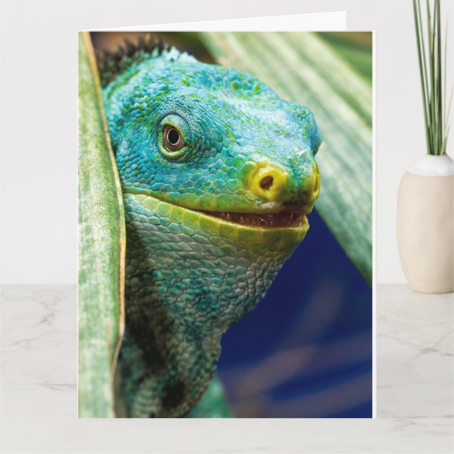 CARTE DE VOEUX D'ANNIVERSAIRE DRÔLE DE PUN IGUANE (Devant)
