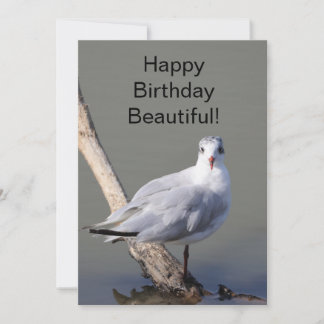 Carte de vœux d'anniversaire 'Joyeux Anniversaire