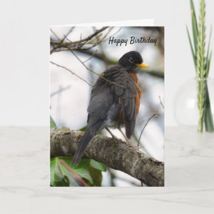 Carte de vœux d'anniversaire Merle américain à ail