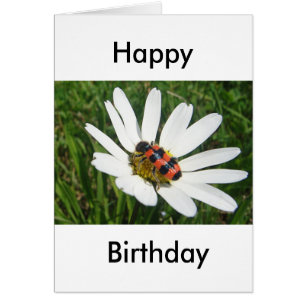 Carte de voeux d'anniversaire mignonne chrysanthèm
