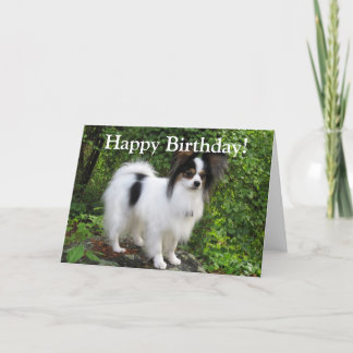 Carte de voeux d'anniversaire ou de Papillon