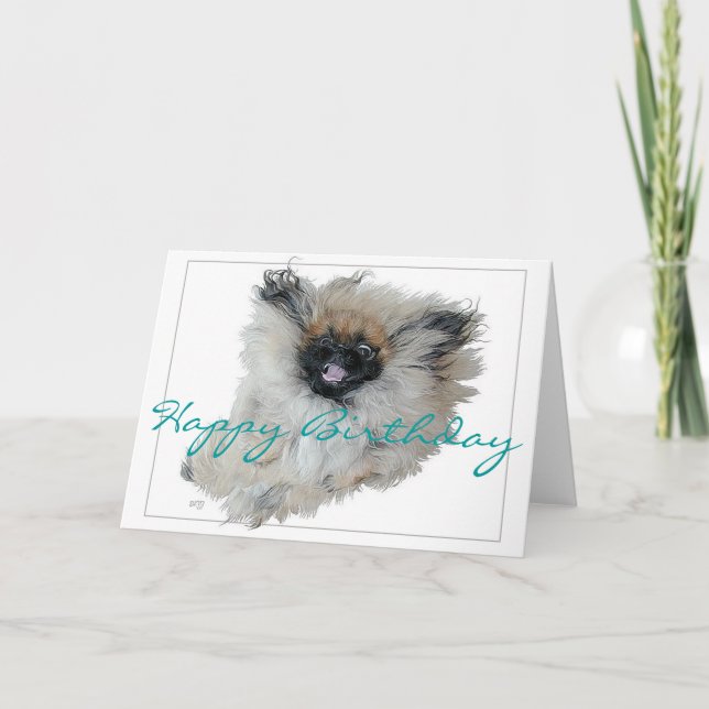 Carte de vœux d'anniversaire Pékinois (Devant)