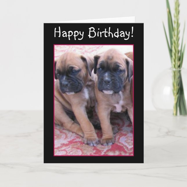 Carte de vœux d'anniversaire pour chiots Boxer (Devant)