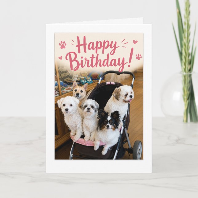 Carte de vœux d'anniversaire pour cinq chiens géni (Devant)