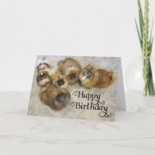Carte de vœux d'anniversaire pour Pékinois