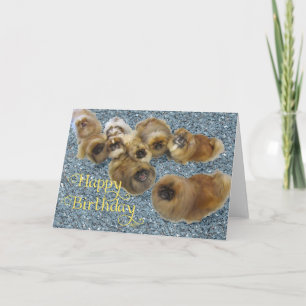 Carte de vœux d'anniversaire pour Pékinois