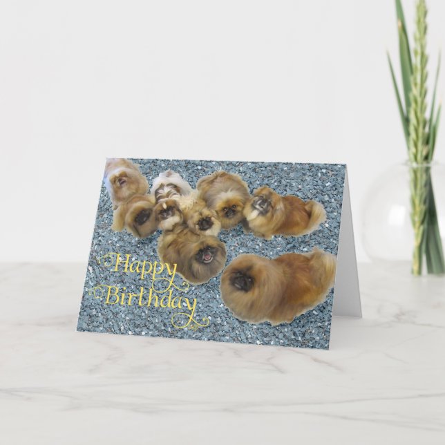 Carte de vœux d'anniversaire pour Pékinois (Devant)