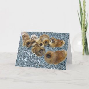 Carte de vœux d'anniversaire pour Pékinois