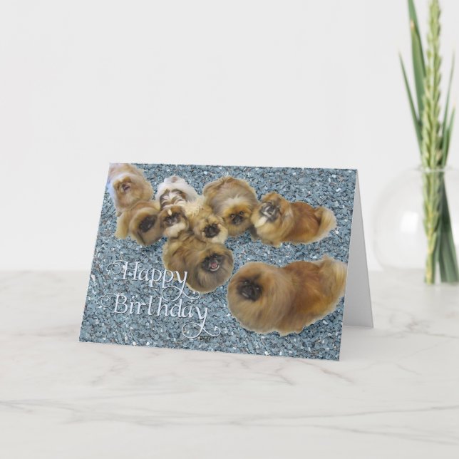 Carte de vœux d'anniversaire pour Pékinois (Devant)