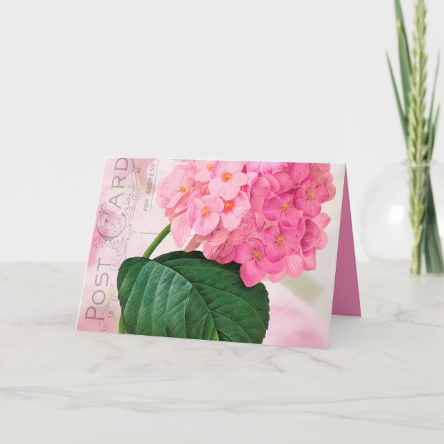 Carte de voeux d'anniversaire Redoute Pink Hydrang (Devant)