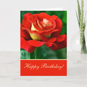 Carte de vœux d'anniversaire Rose Rouge