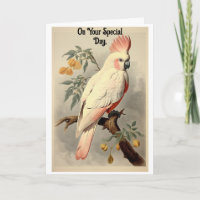 Carte de vœux d'anniversaire vintage oiseau tropic
