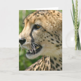 Carte de voeux d'attaque de Cheetah