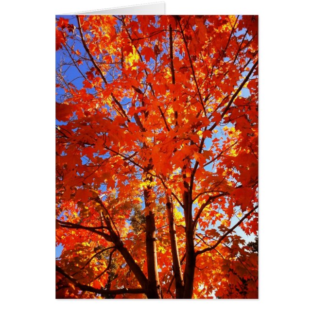 Carte de voeux d'automne (Devant)