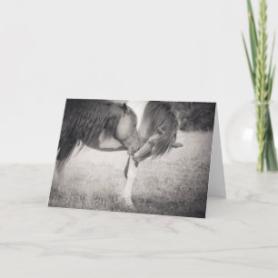 Carte de voeux de baiser des chevaux