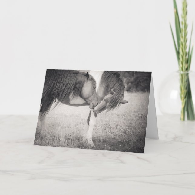 Carte de voeux de baiser des chevaux (Devant)