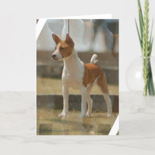 Carte de voeux de Basenji