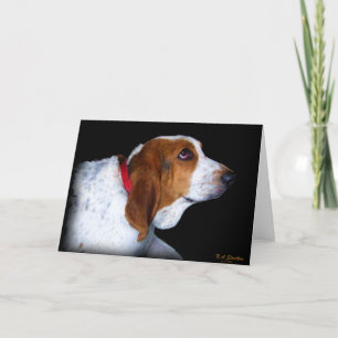 Carte de voeux de Basset Hound