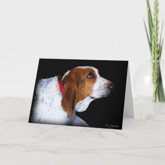 Carte de voeux de Basset Hound (Devant)
