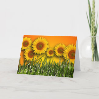 Carte de voeux de blanc d'aube de tournesol