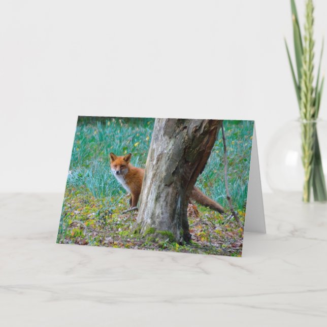 Carte de voeux de blanc de renard rouge (Devant)