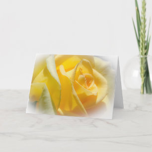 Carte de voeux de blanc de rose jaune