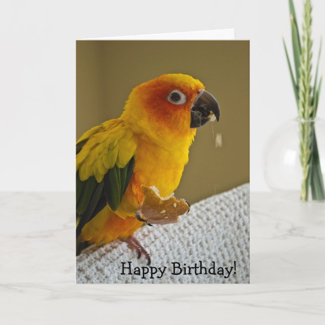 Carte de voeux de blanc d'oiseau de Sun Conure (Devant)